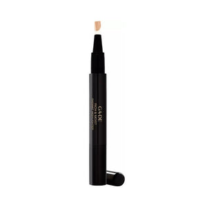GA-DE Rich and Moist Radiant Highlighter (Bear Sand) - Beauty Affairs